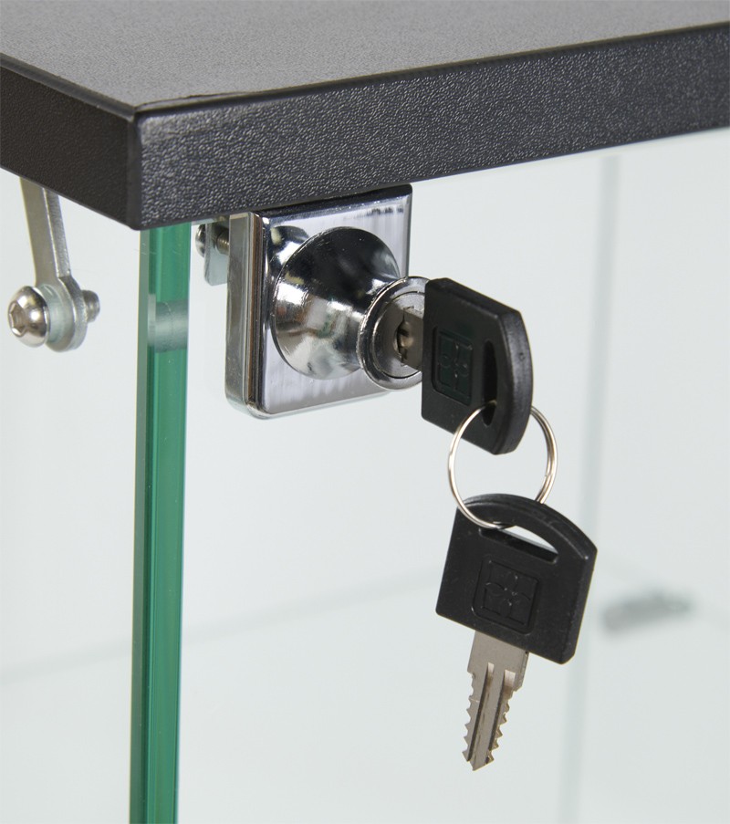 Lockable glass cabinet 